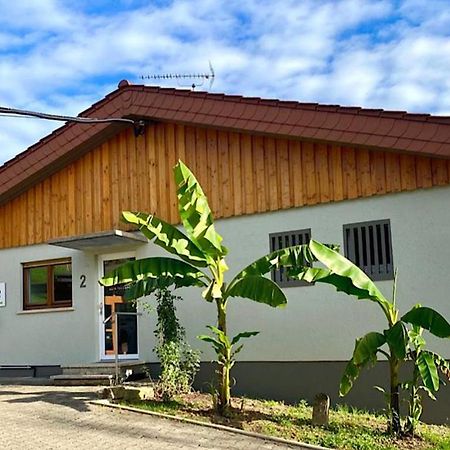 Pension Am Hohberghof Dielheim ภายนอก รูปภาพ