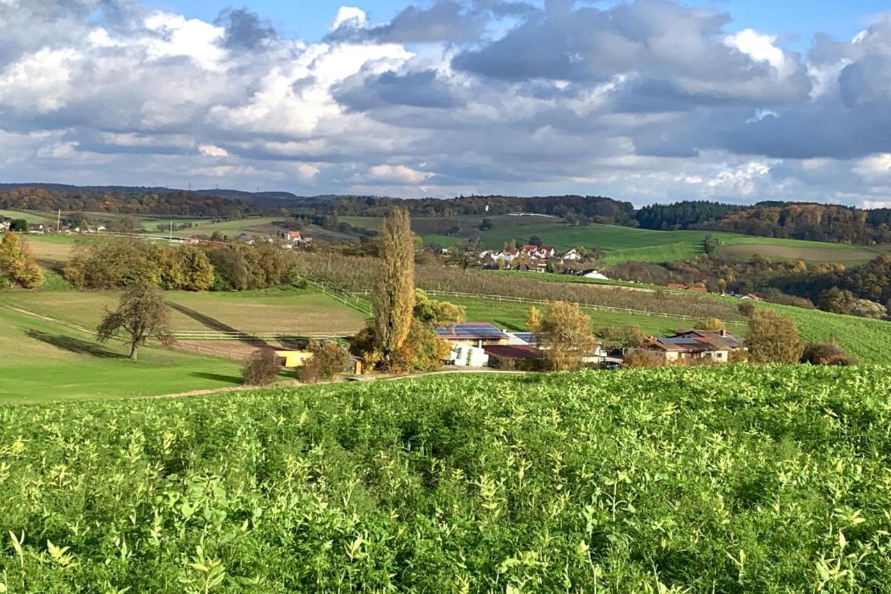 Pension Am Hohberghof Dielheim ภายนอก รูปภาพ