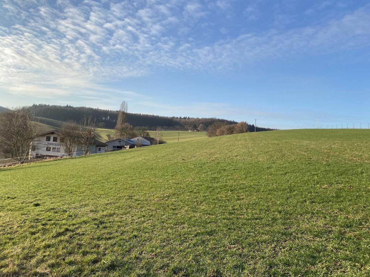 Pension Am Hohberghof Dielheim ภายนอก รูปภาพ
